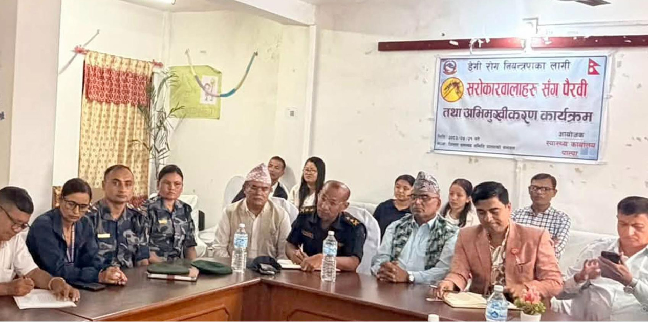 पाल्पामा २५५ जनामा डेंगु संक्रमण पुष्टि