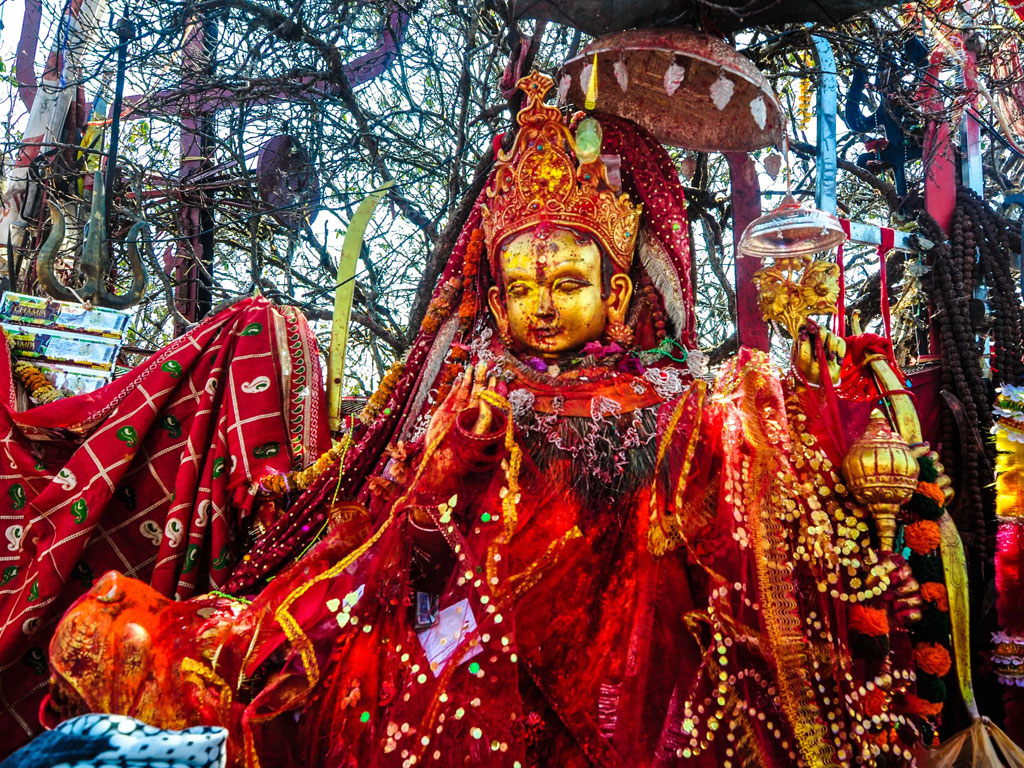 पाथीभराबाट तीन महिनामा ३३ लाख बढी संकलन