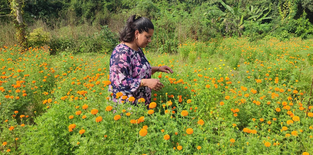 फूलको अग्रिम माग हुन थालेपछि व्यवसायी उत्साहित