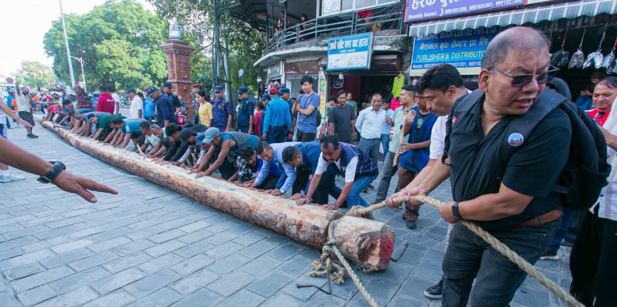 इन्द्रध्वजाको लिंगो उठाउन नालाबाट भोटाहिटी ल्याइयो रुख(तस्बिरसहित)